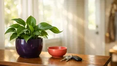 Feng shui for 2026: simple home updates to invite prosperity and momentum