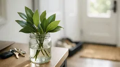 Put bay laurel by your front door for a fresher entryway in days