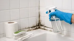 How to remove bathroom mold with hydrogen peroxide (and keep it from coming back)